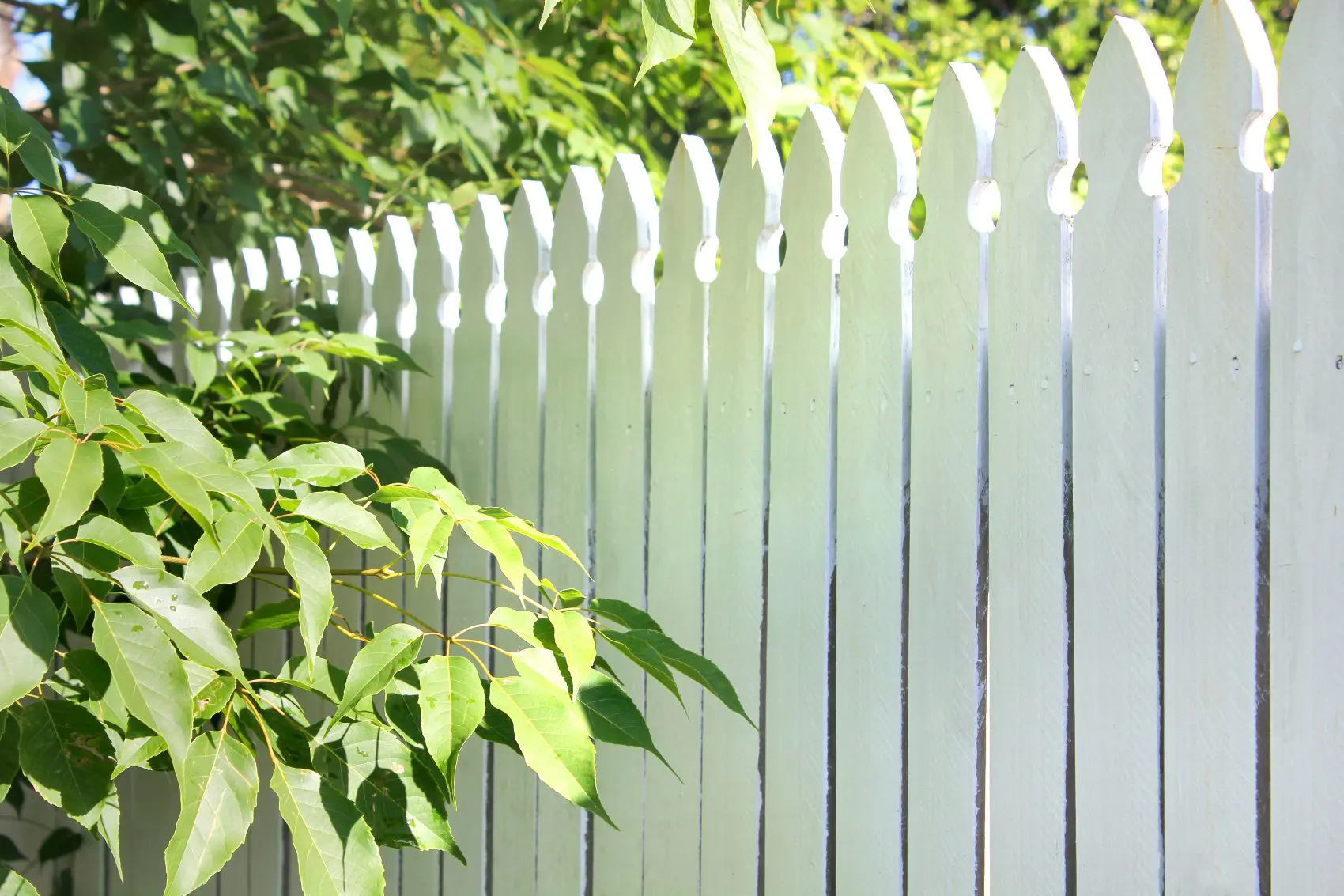 Fence Replacement Services